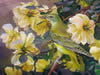 Marina Varentsova - Rousseva - fine art