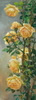 Marina Varentsova - Rousseva - fine art