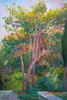 Nikolay Roussev - fine art