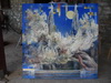 Nikolay Roussev - fine art